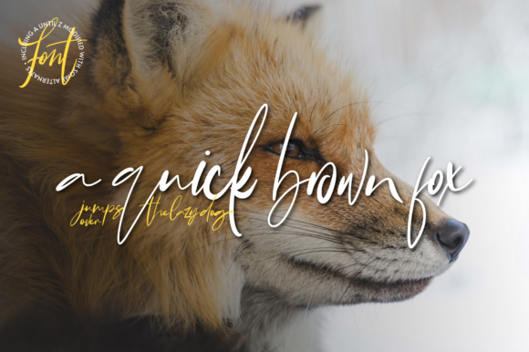 Bonyca Font - Preview 2