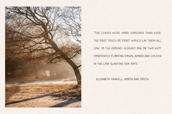 Ghost Story Font - Preview 1