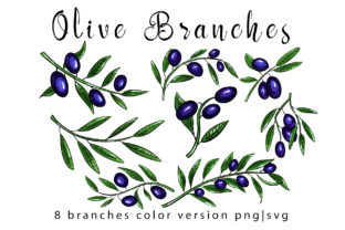 Olive Branches Set Graphic by GennadiDigitalStudio · Creative Fabrica