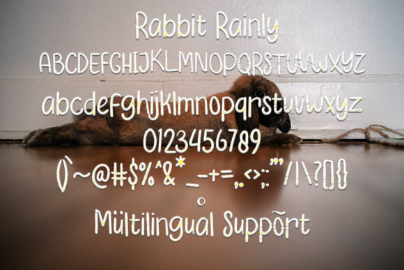 Rabbit Rainly Font PNG with transparent background - Preview 3