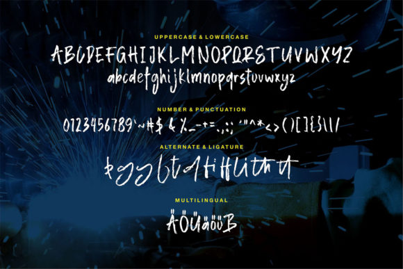 Alister Font - Preview 5
