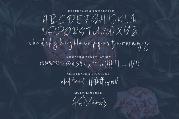 Herbert Font - Preview 5