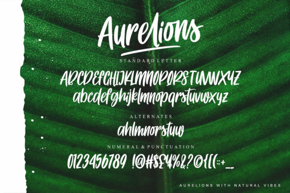 Aurelions Font - Preview 5