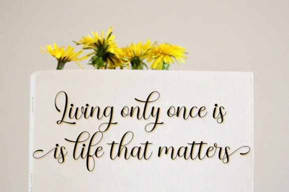 Braly Latoya Font - Preview 3