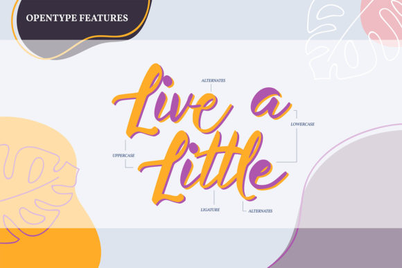 Caretha Font - Preview 4