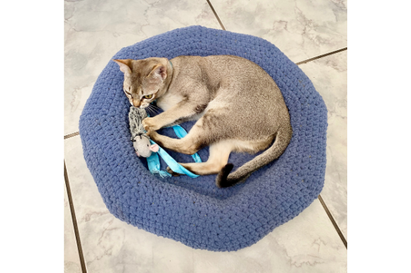 Easy Doughnut-Shaped Pet Bed