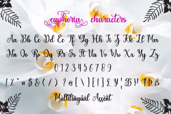 Euphoria Font - Preview 6