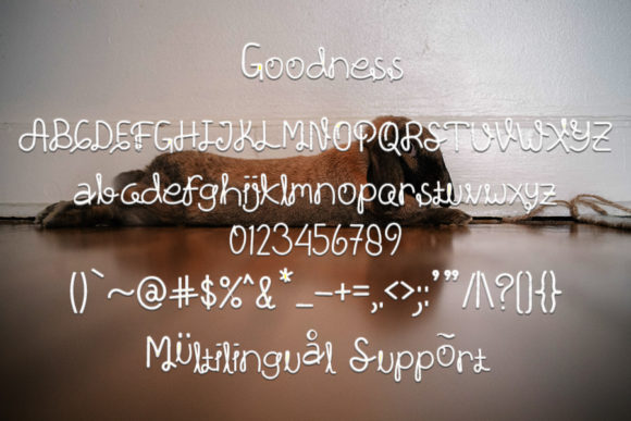 Goodness Font - Preview 2