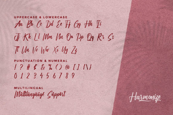 Harmonize Font - Preview 4