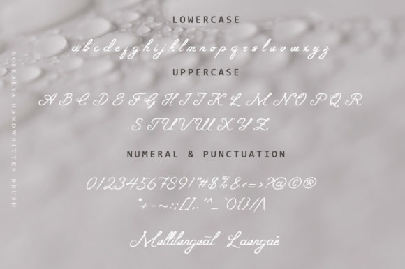 Rosealya Font font preview - 6