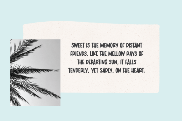 Carolina Font - Preview 4