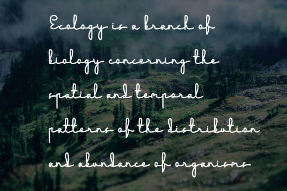 Ecology Font - Preview 1