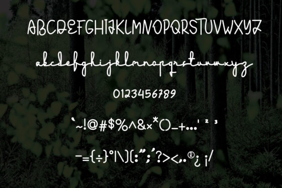 Ecology Font - Preview 2