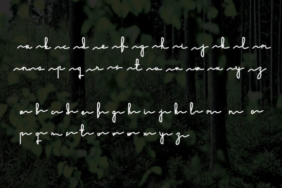 Ecology Font - Preview 3