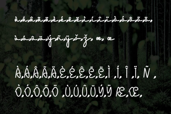 Ecology Font - Preview 4