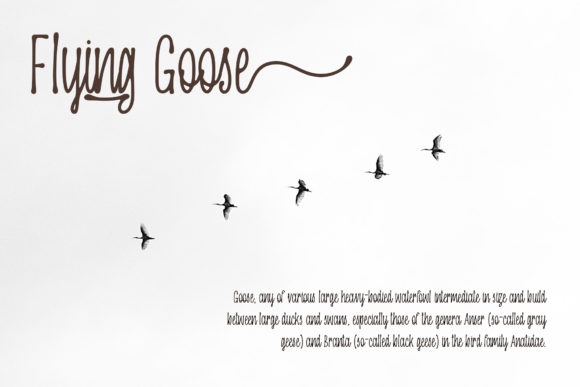Oranjipen Font PNG with transparent background - Preview 2