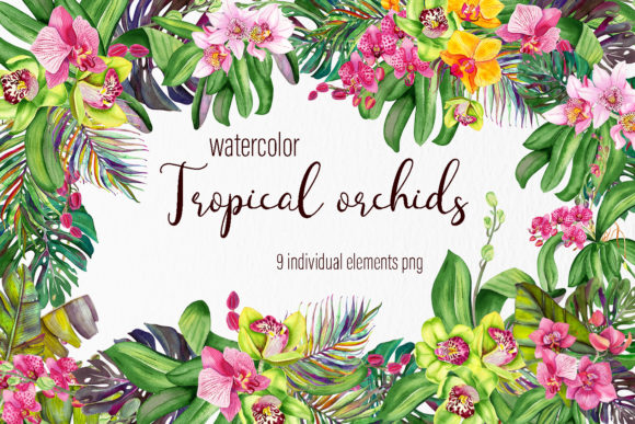 Watercolor Orchids Bouquet Clipart Graphic Illustrations By ElenaZlataArt