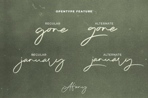 Afiany Font - Preview 6