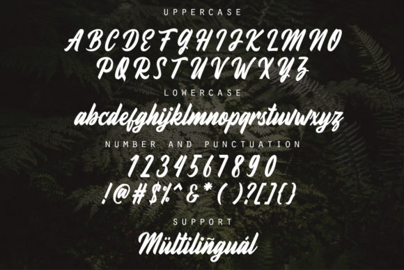 Fineberg Font - Preview 1