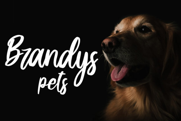 Machity Font PNG with transparent background - Preview 2