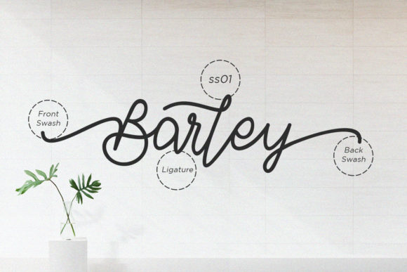 Barley Font - Preview 6