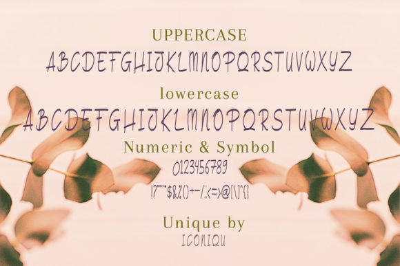 Beautiful Creature Font - Preview 1