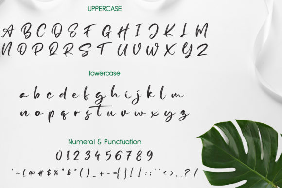 Broome Font - Preview 1