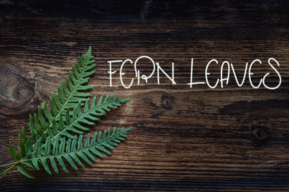 Farmhouse Font - Preview 1