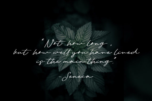 Amostne Font PNG with transparent background - Preview 2