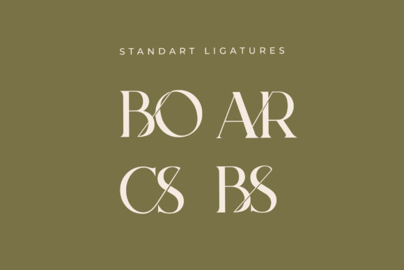 Bodar Font - Preview 4