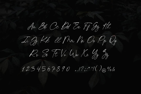 Chic Budapest Font PNG with transparent background - Preview 3