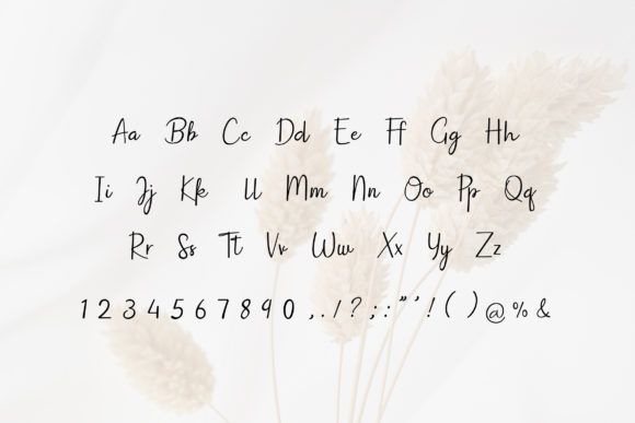 Dish Domine Font - Preview 3