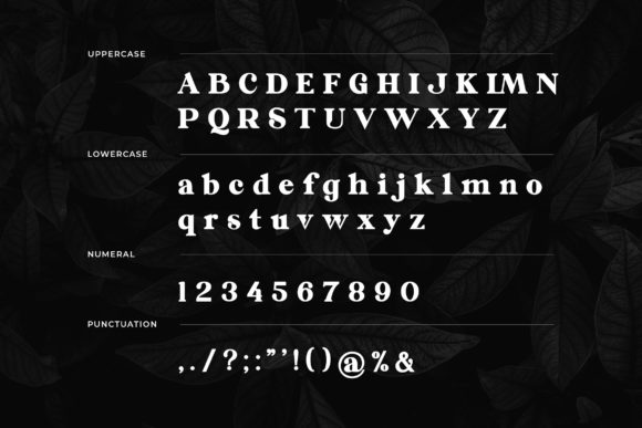 Galorine Font - Preview 2