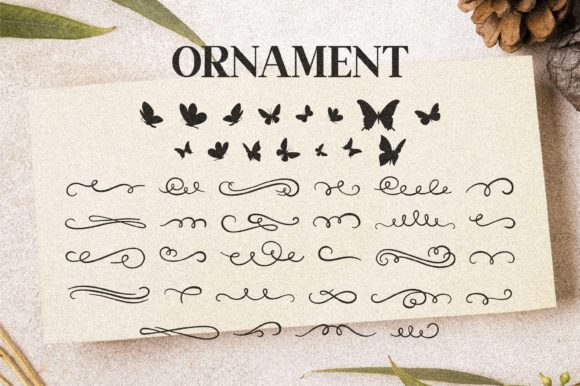 Laylarita Font PNG with transparent background - Preview 4