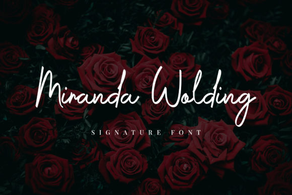 Miranda Wolding Font PNG with transparent background - Preview 1