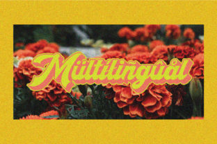 The Mukbeng Font by Zelow Diary · Creative Fabrica