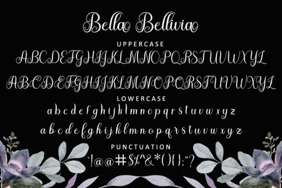 Bella Bellivia Font - Preview 4