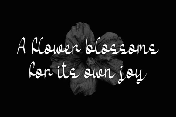 Black Flower Font - Preview 1