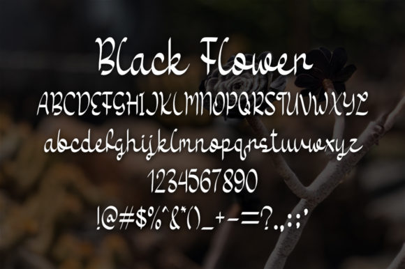 Black Flower Font - Preview 3