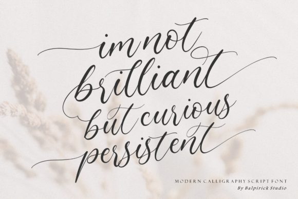 Claytona Font - Preview 4