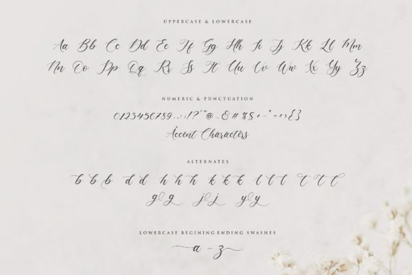 Claytona Font - Preview 5