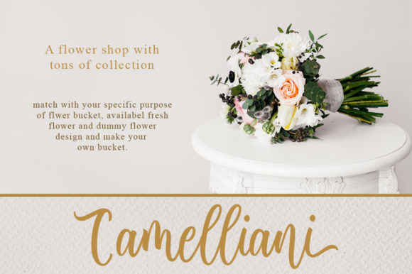 Delvina Font - Preview 1