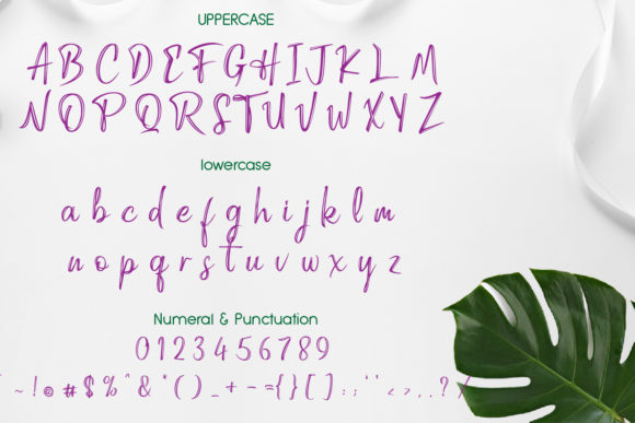 Gippsland Font PNG with transparent background - Preview 1