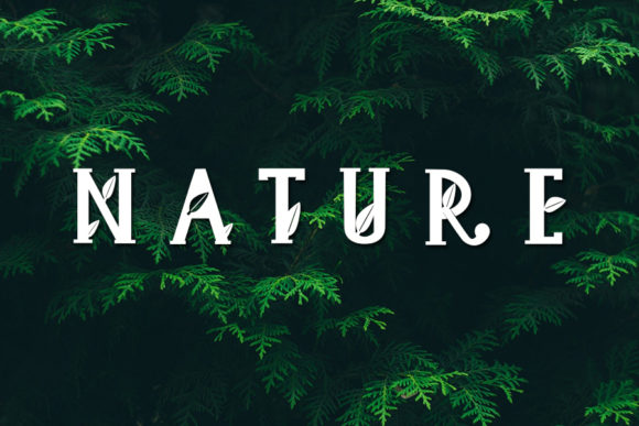 Green House Font - Preview 2