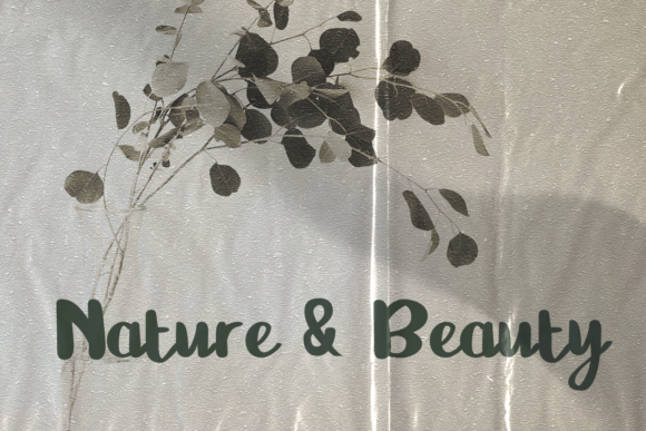 Sandralia Font PNG with transparent background - Preview 6
