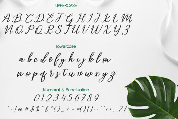 Ningaloo Font PNG with transparent background - Preview 1