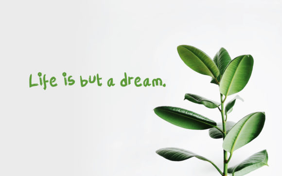 Organik Font PNG with transparent background - Preview 3