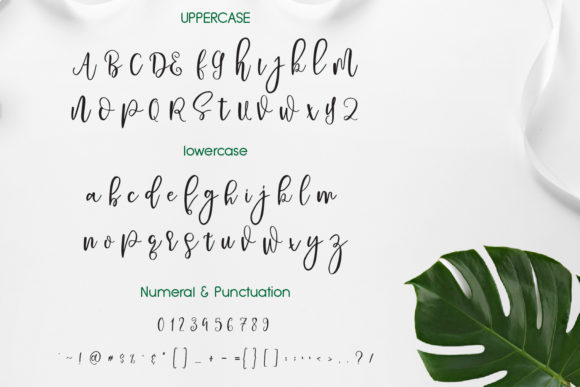 Pavlova Font font preview - 1
