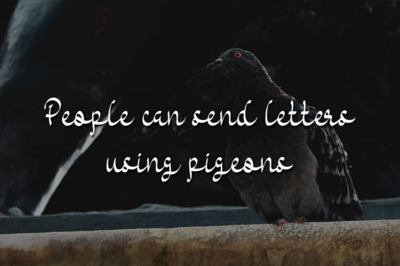 Black Pigeons Font - Preview 2