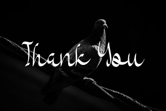 Black Pigeons Font - Preview 3